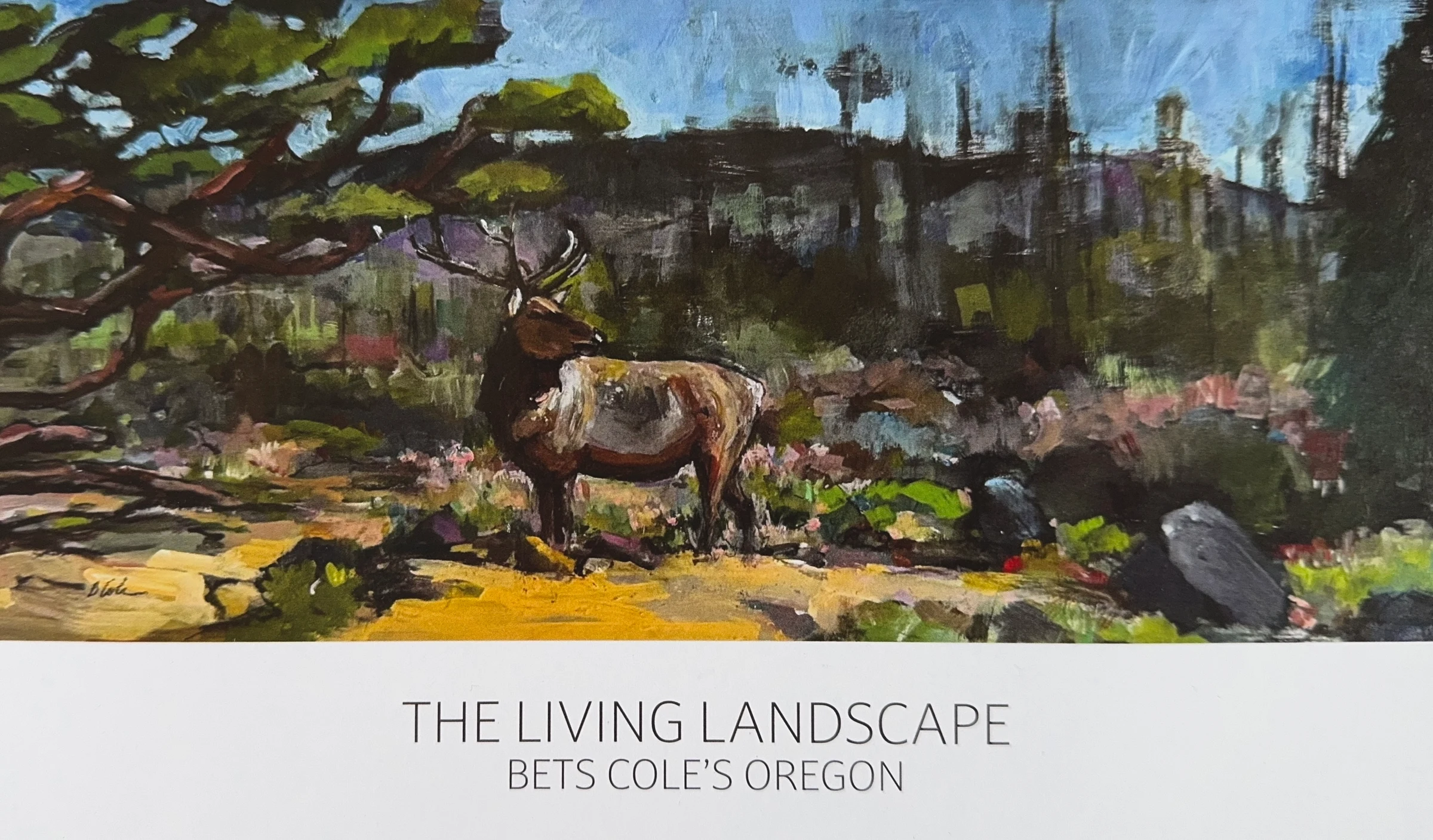 Bets Cole studio