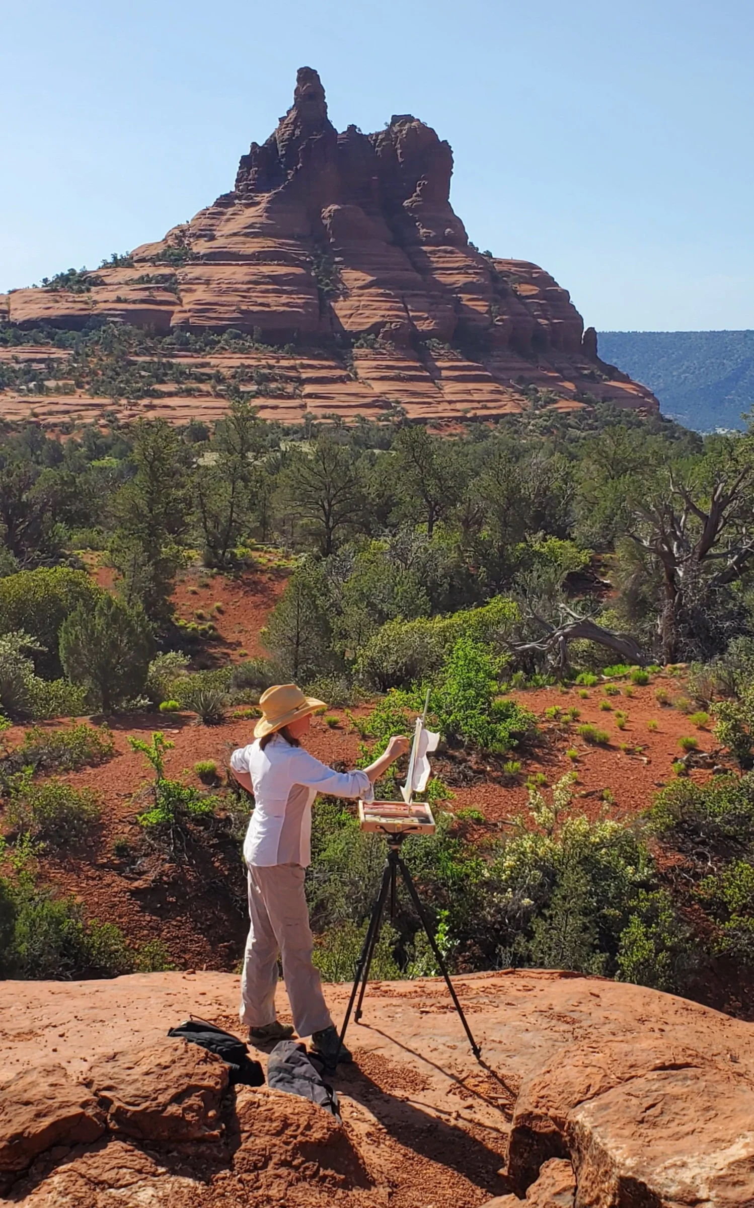 Nori in the wild painting the beauty Sedona.