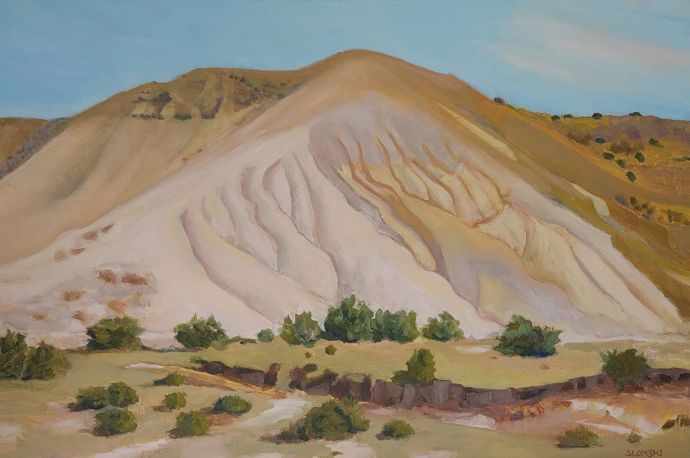 Susan Slomski studio